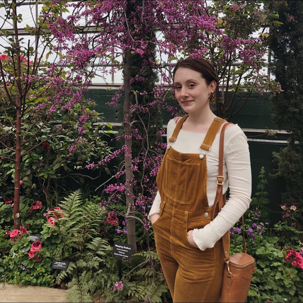 Madewell overalls